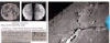 Bulan-belah